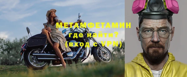 индика Бронницы