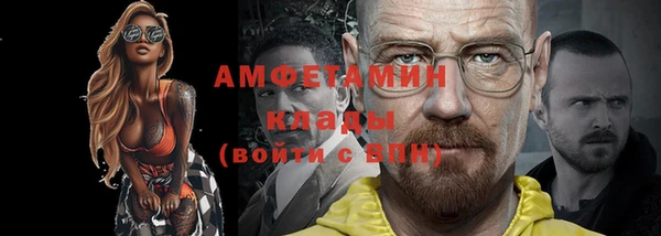 индика Бронницы