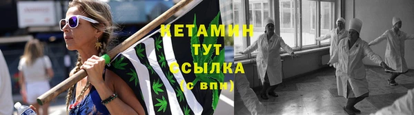 прущие грибы Верхний Тагил