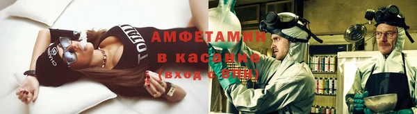 индика Бронницы