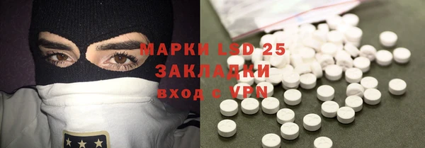 индика Бронницы
