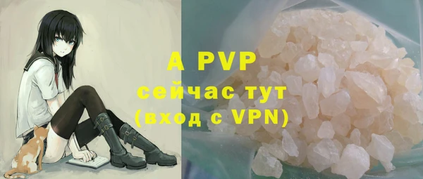индика Бронницы