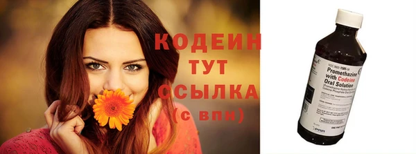 индика Бронницы