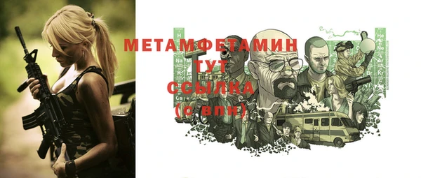 индика Бронницы