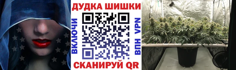 Шишки марихуана THC 21% Георгиевск